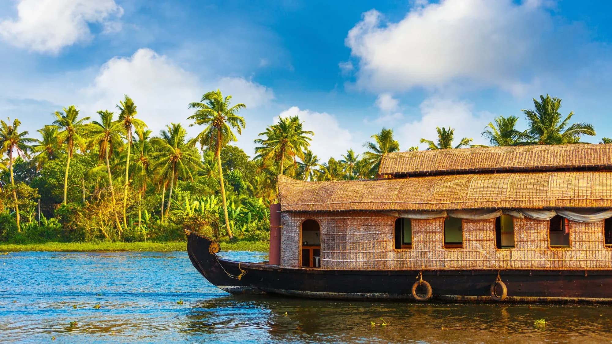 Traditional Kerala houseboat with a thatched roof sailing on the backwaters, with coconut palms along the bank