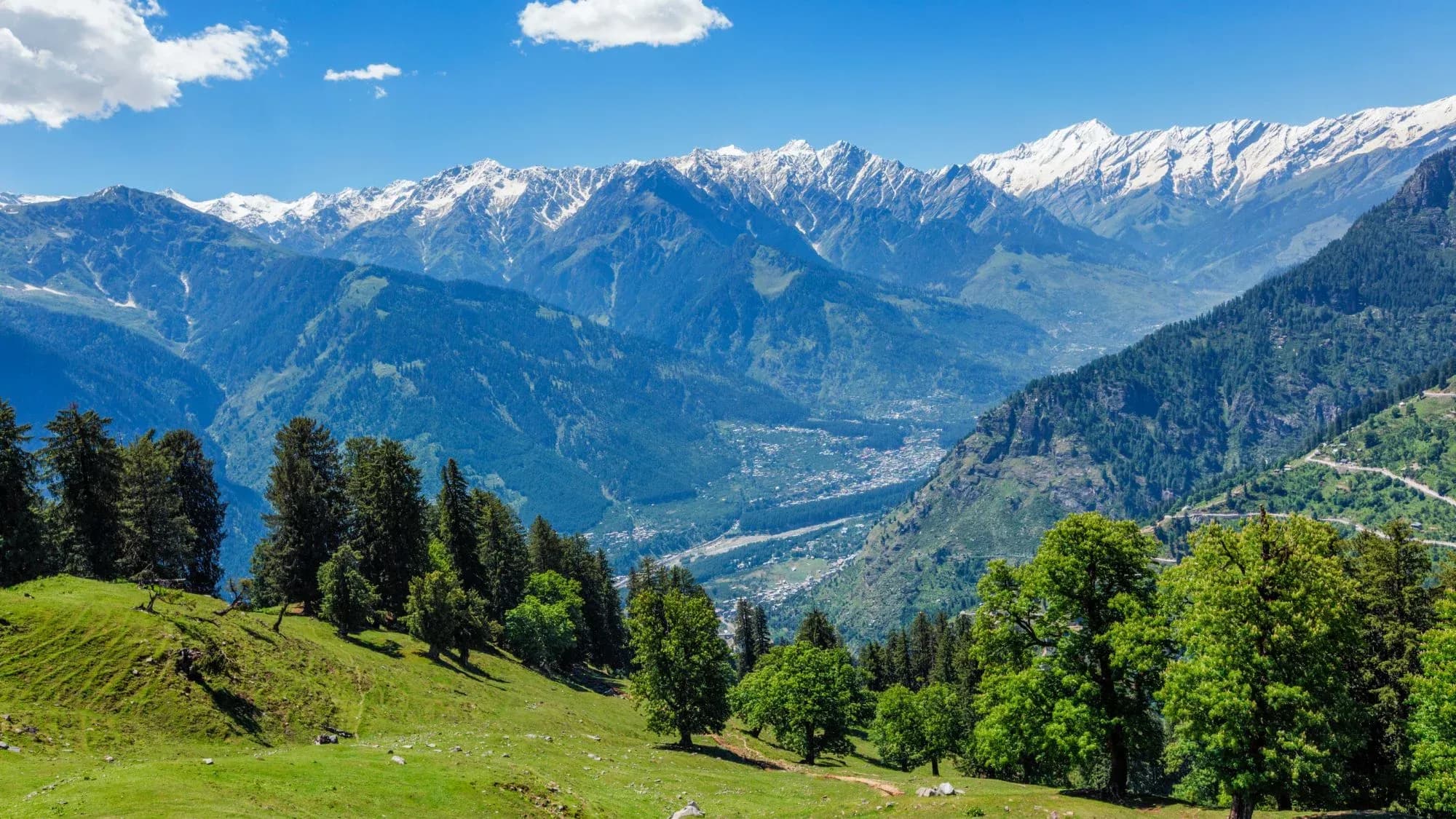 Green meadow with pine and oak trees above a Himachal valley town, with snow-capped Himalayan peaks under a blue sky